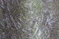 Sibleys Green fibreglass roof work